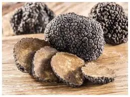 Mushroom & Truffle